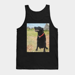 Jet the black Labrador on Berry head Brixham Devon Tank Top